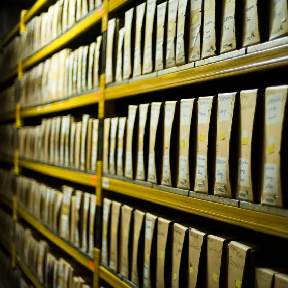 National Archive document folders